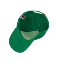 Бейсболка «Florida 350»