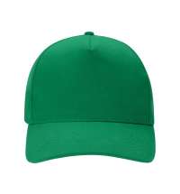 Бейсболка «Florida 350»