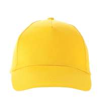 Бейсболка «Memphis 230»