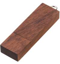 Флешка BRIKS WOOD Темное дерево 4001.32.16ГБ