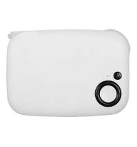 Мультимедийный проектор «Ray Mini»