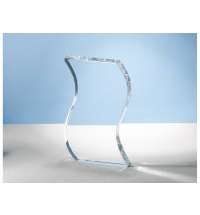 Награда «Ocean Glitz»