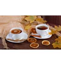 45369-80fd8bcd4a957a8f83b91406b1fafc38