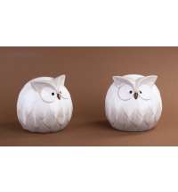 29931-b016bff6691a267fe0b65c2d8c5513e5