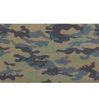 10758-13535f085fec0ba12e19a784fedd355c