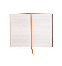 21895-5bff2e80483a9d03635d6a7fa3928460