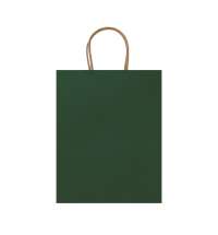 Пакет бумажный ARCE, Папоротниковый