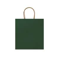 Пакет бумажный HAYA, Папоротниковый