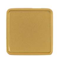 Квадратный шильдик на резинку Epoxi, матовый золотистый