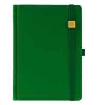 Ежедневник Favor Gold, недатированный, ярко-зеленый