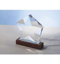 Награда «Interstellar»