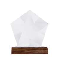 Награда &laquo;Interstellar&raquo;