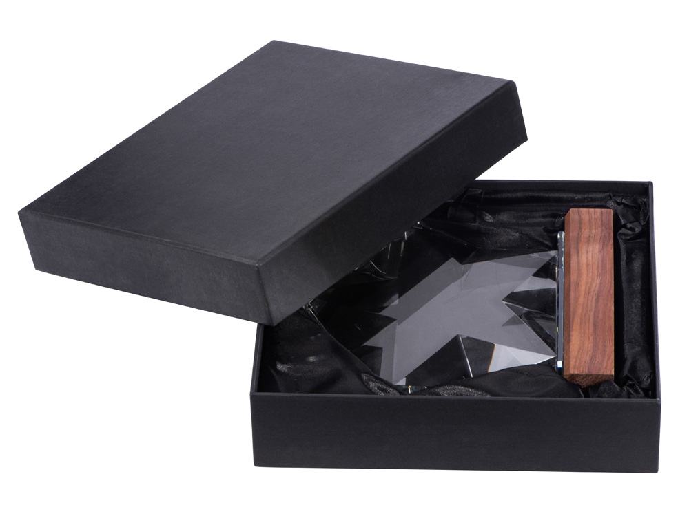 Награда &laquo;Interstellar&raquo;