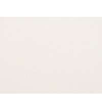 Сумка для шопинга «Steady» хлопковая с парусиновыми ручками, 260 г/м2