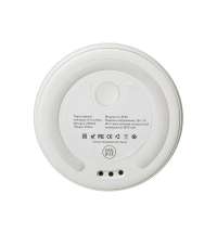 Портативный блендер «Smoothie»