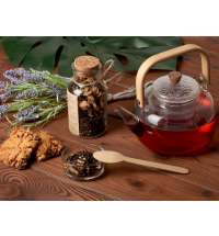 Чай черный, с соком имбиря и клюквой, мини