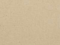 Сумка из плотного хлопка «Carryme 220», 220 г/м2