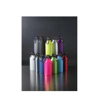 Бутылка &laquo;Oregon&raquo; с карабином, матовая