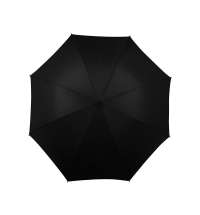 Зонт-трость «Алтуна»