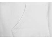 Толстовка с капюшоном «Amsterdam» мужская