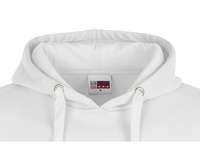 Толстовка с капюшоном «Amsterdam» мужская