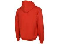 Толстовка с капюшоном «Amsterdam» мужская