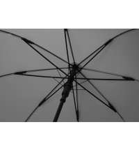 Зонт-трость полуавтомат «Wetty» с проявляющимся рисунком