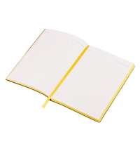 Бизнес-блокнот А5 &laquo;C1&raquo; soft-touch