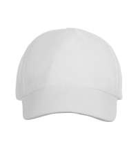 Бейсболка «Florida 350»