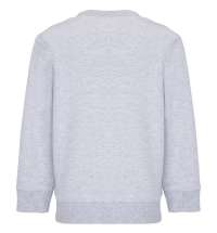 Свитшот детский Columbia Kids, серый меланж
