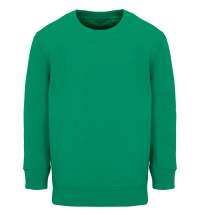 Свитшот детский Columbia Kids, ярко-зеленый