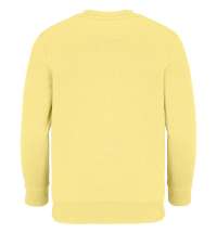 Свитшот детский Columbia Kids, светло-желтый