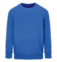 Свитшот детский Columbia Kids, ярко-синий (royal)