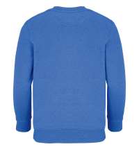 Свитшот детский Columbia Kids, ярко-синий (royal)