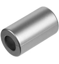 Наконечник для шнурка Tizzle, серебристый