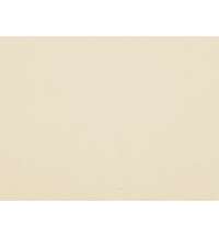 Сумка для шопинга «Steady» хлопковая с парусиновыми ручками, 260 г/м2