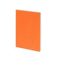 Бизнес тетрадь А5 «Pragmatic»