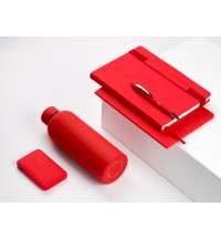 Ежедневник Alpha недатированный, красный/серый