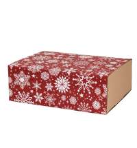 Шубер новогодний 