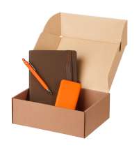 Подарочный набор Alpha, коричневый/оранжевый (ежедневник, ручка, аккумулятор)