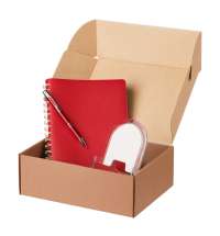 Подарочный набор Vista, красный (ежедневник, ручка, зарядная станция)