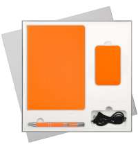 Подарочный набор Spark, оранжевый (ежедневник, ручка, аккумулятор)