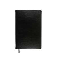 Ежедневник недатированный А5 &laquo;Megapolis Nebraska&raquo;