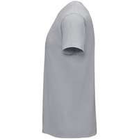 Футболка Regent 150, серая