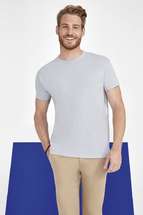 Футболка Regent 150, серая