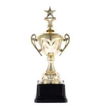 Кубок Top Star, золотистый