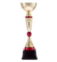 Кубок Awardee, средний, красный