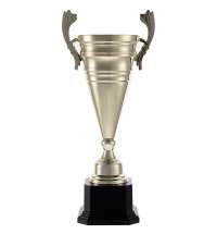 Кубок Recordsman, золотистый
