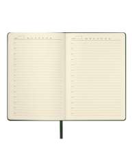 Ежедневник Molto недатированный, зеленый