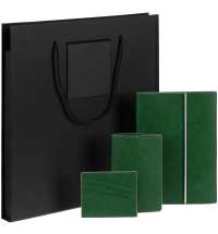 Набор Petrus Flap, зеленый